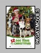 12 Dog Days Till Christmas (2014) Hollywood Hindi Dubbed Full Movie
