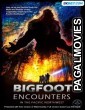 Bigfoot Encounters in the Pacific Northwest (2022) Bengali Dubbed