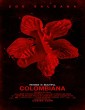 Colombiana (2011) Hollywood Hindi Dubbed Full Movie