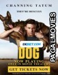 Dog (2022) Hollywood Hindi Dubbed Full Movie