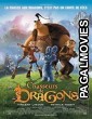 Dragon Hunters (2008) Hollywood Hindi Dubbed Full Movie