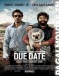 Due Date (2010) Hindi Dubbed Movie