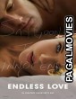 Endless Love (2014) Hollywood Hindi Dubbed Full Movie
