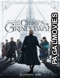 Fantastic Beasts The Crimes of Grindelwald (2018) Hollywood Hindi Dubbed Full Movie