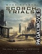 Maze Runner: The Scorch Trials (2015) Full Hollywood Hindi Dubbed Movie