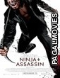 Ninja Assassin (2009) Hollywood Hindi Dubbed Full Movie