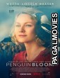 Penguin Bloom (2020) English Movie
