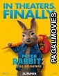 Peter Rabbit 2: The Runaway (2021) English Movie