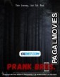 Prank Bros (2021) Hollywood Hindi Dubbed Full Movie
