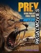 Prey (2024) Hollywood Hindi Dubbed Full Movie