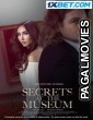 Secrets At The Museum (2023) Hollywood Hindi Dubbed Full Movie