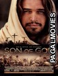 Son of God (2014) Hollywood Hindi Dubbed Full Movie