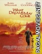 What Dreams May Come (1998) Dual Audio Hindi Dubbed Movie