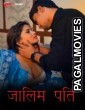 Zalim Pati (2024) Season 1 Part 1 TadkaPrime Hindi Hot WebSeries