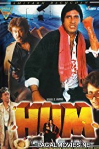 Hum (1991) Bollywood Movie