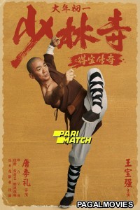Rising Shaolin The Protector (2021) Hollywood Hindi Dubbed Full Movie