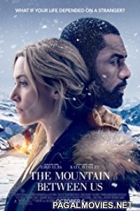 The Mountain Between Us (2017) Hollywood Hindi Dubbed Full Movie